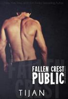 Fallen Crest High #3 - Fallen Crest Public - Tijan